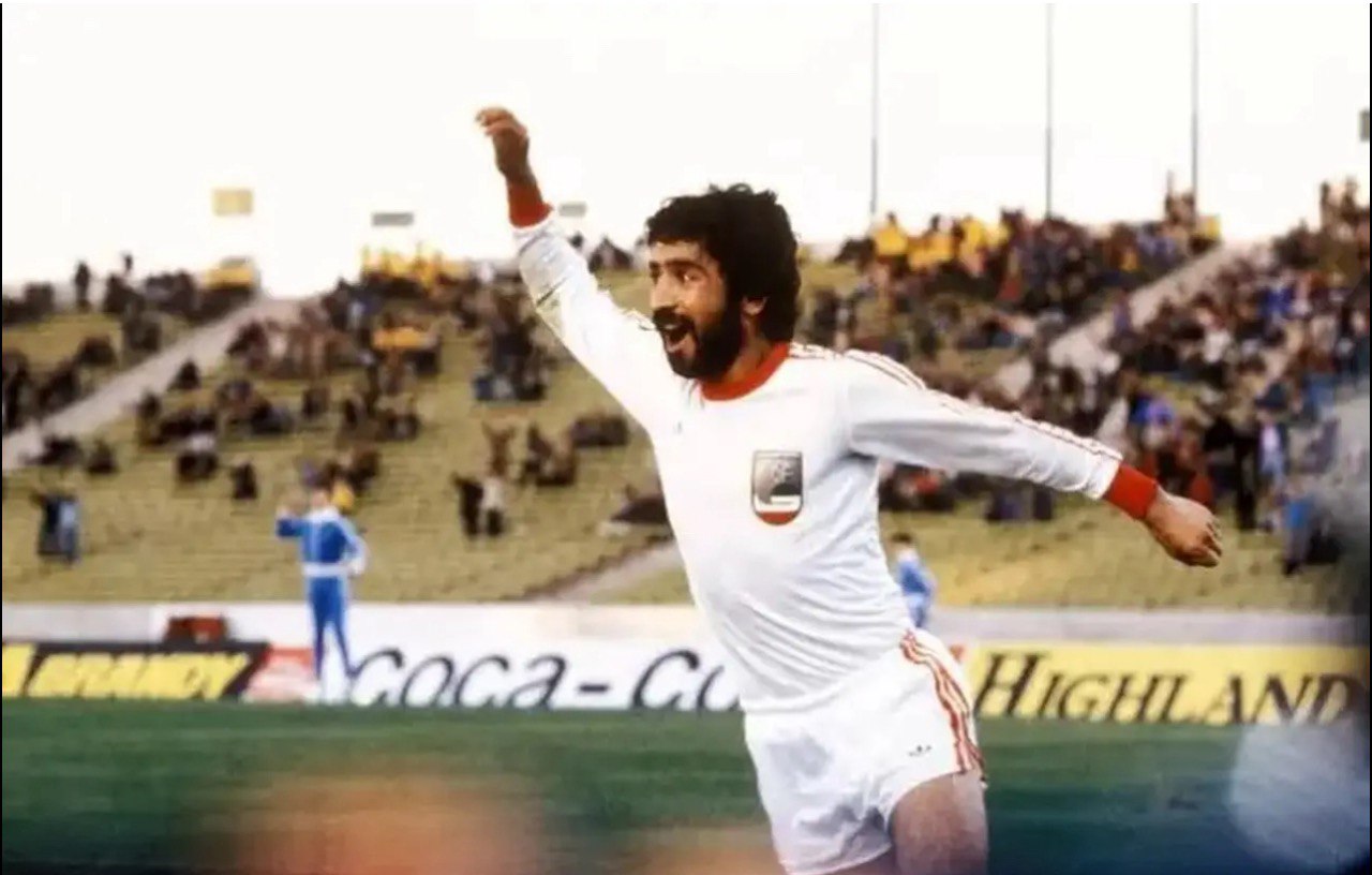 ایرج دانایی فرد