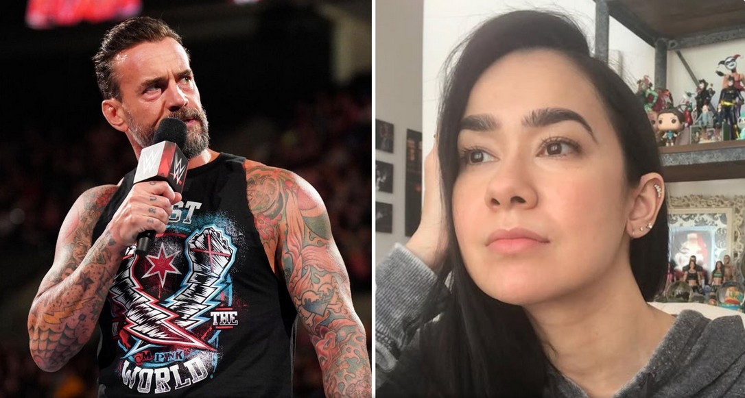 ای جی لی و سی ام پانک، ستارگان کشتی کج و WWE