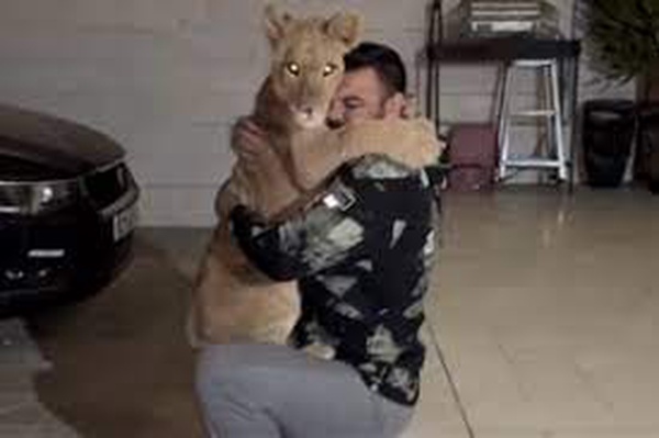 عکس از امیر علی اکبری و توله شیر معروف لئو