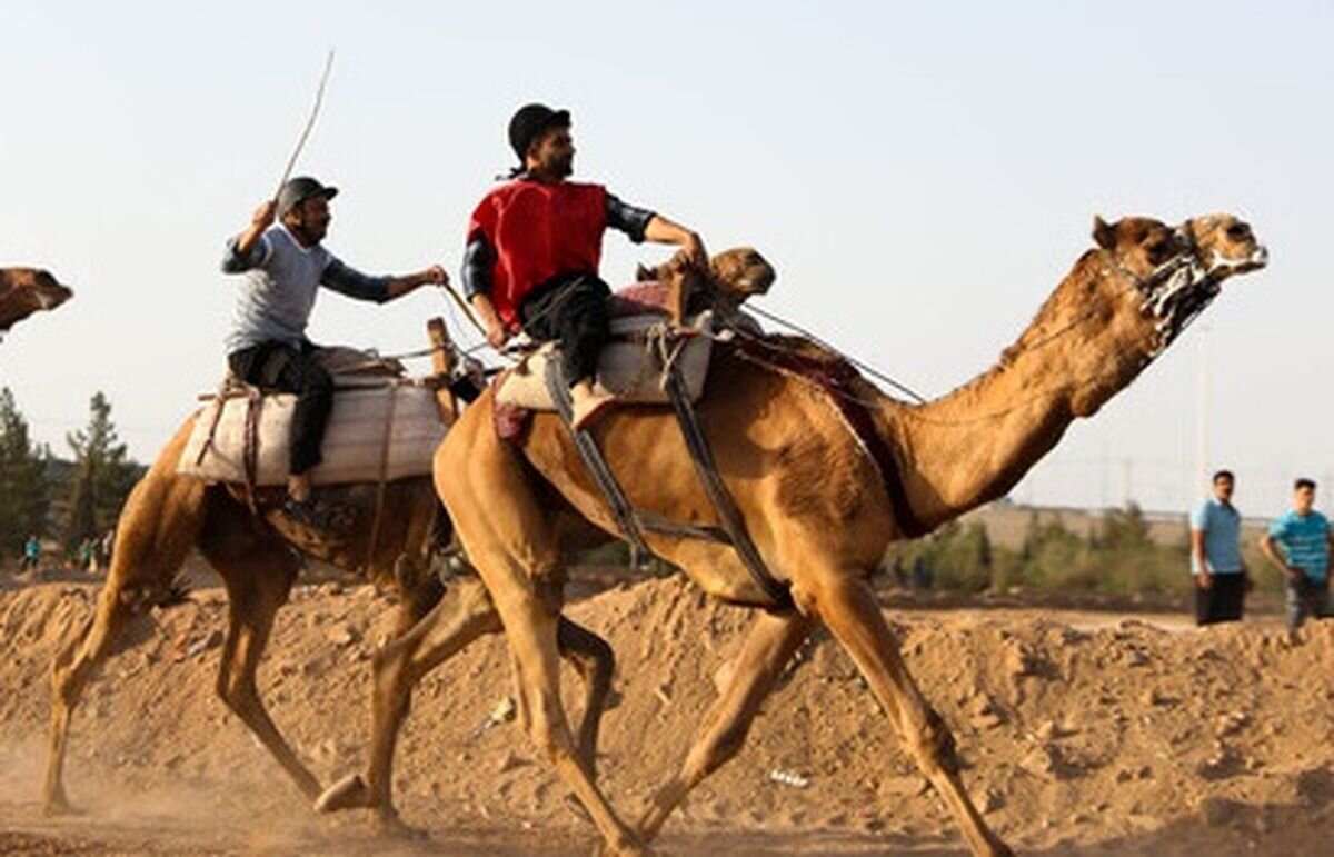 عکس از شترسواری در ایران