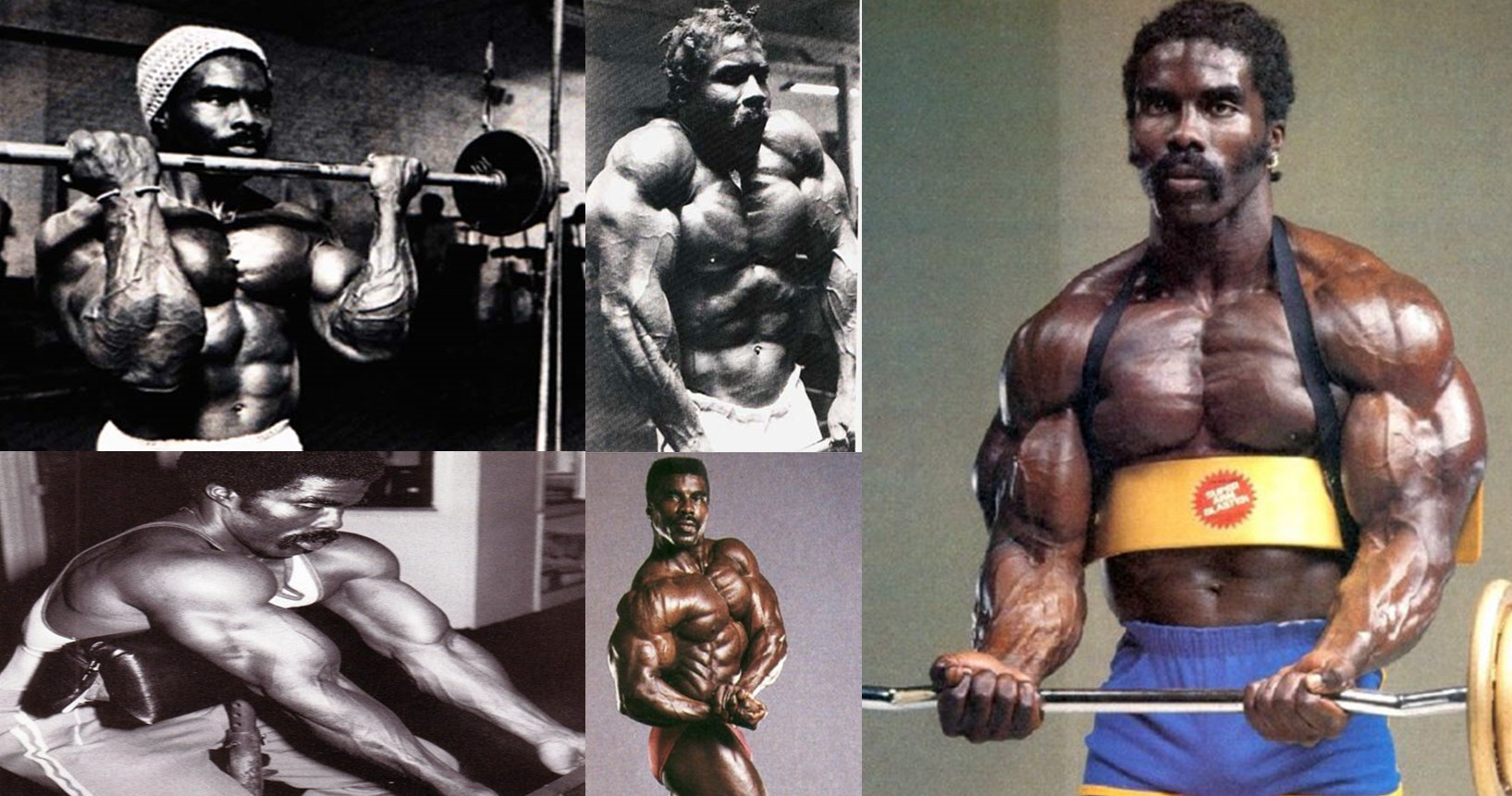 رابی رابینسون