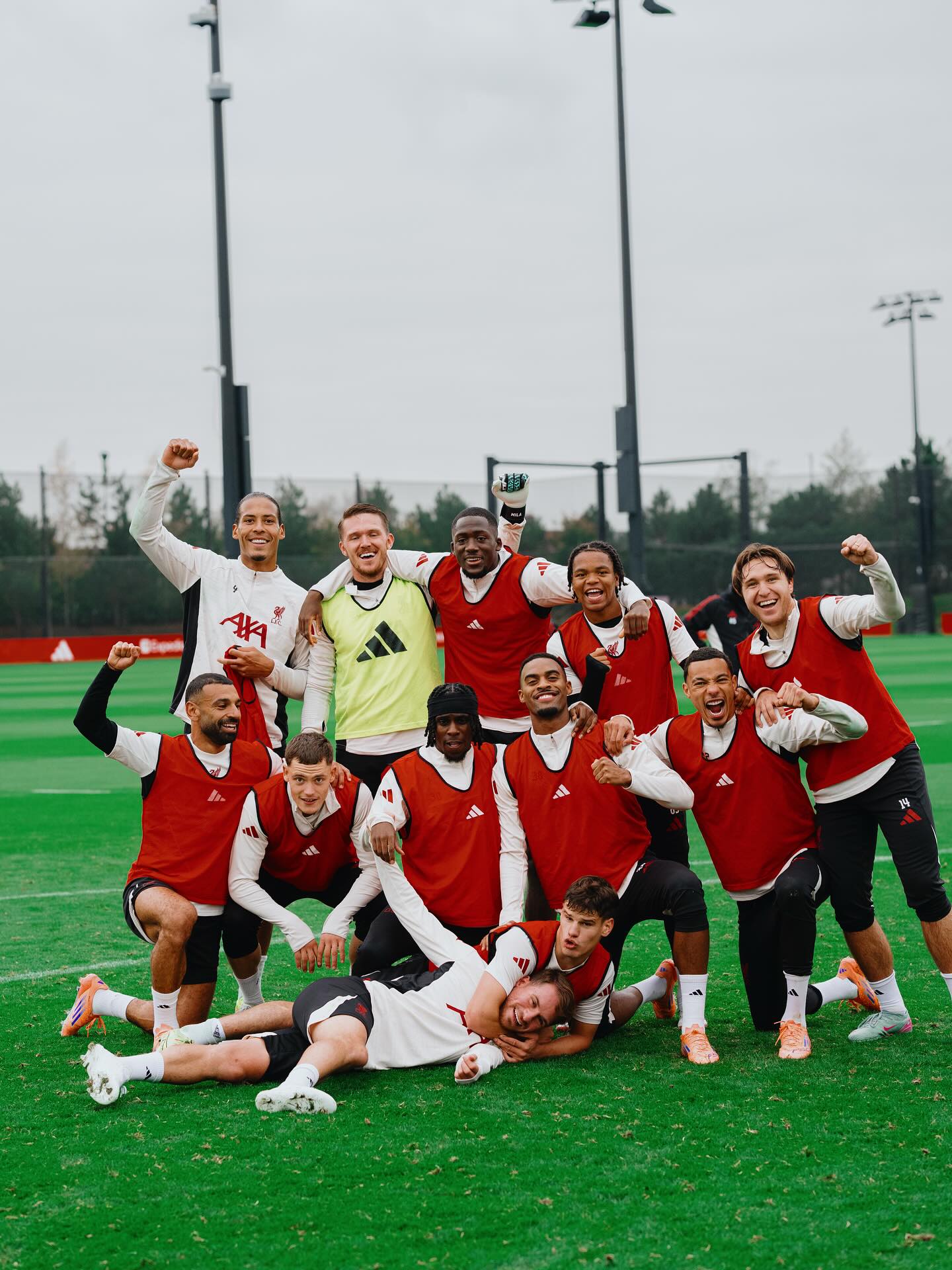 الکسیس مک آلیستر