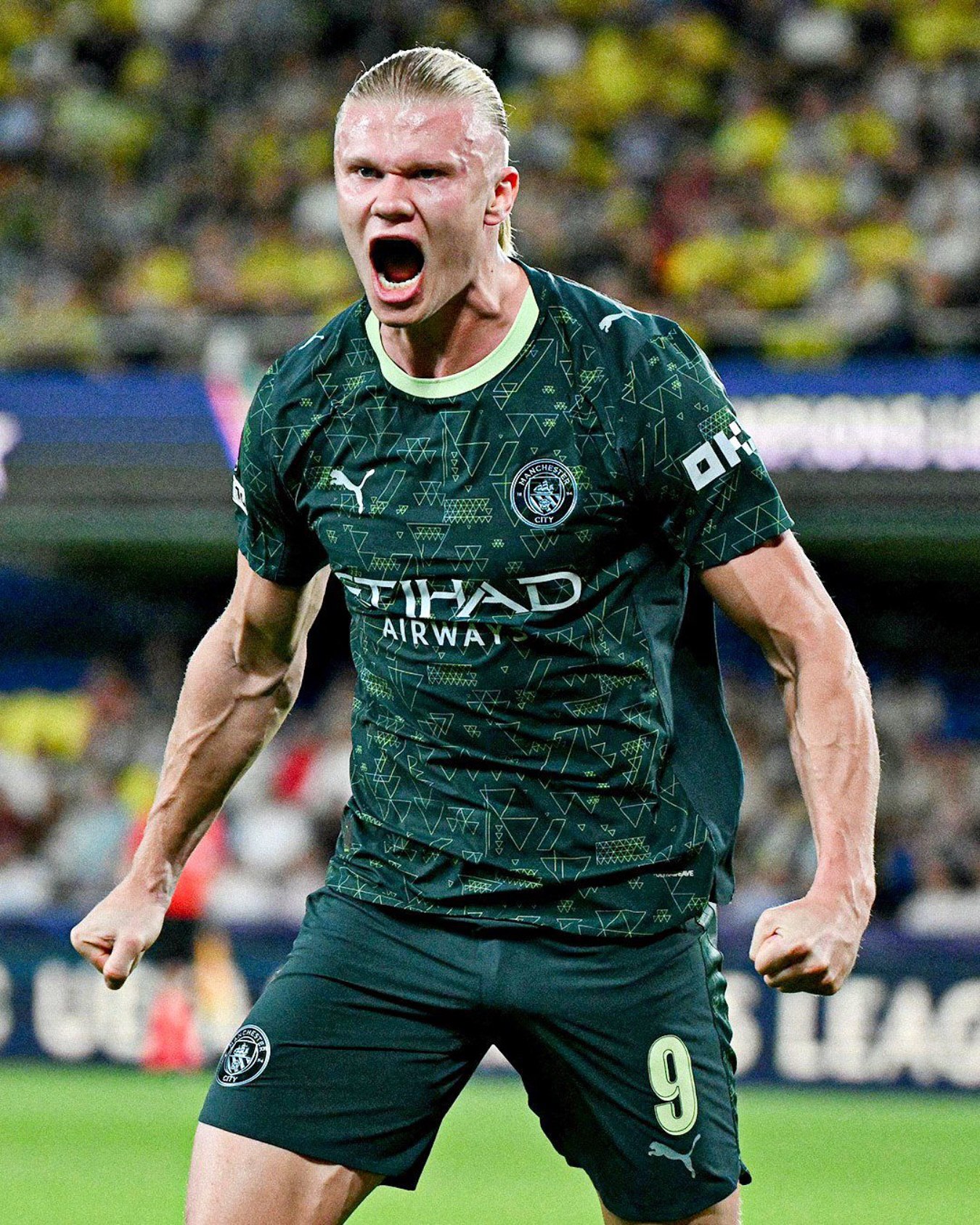 ارلینگ هالند