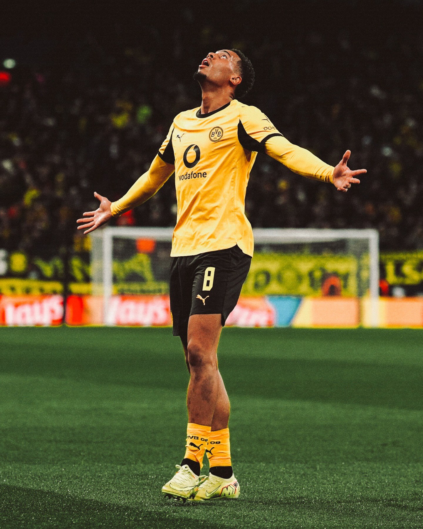 فلیکس انمچا