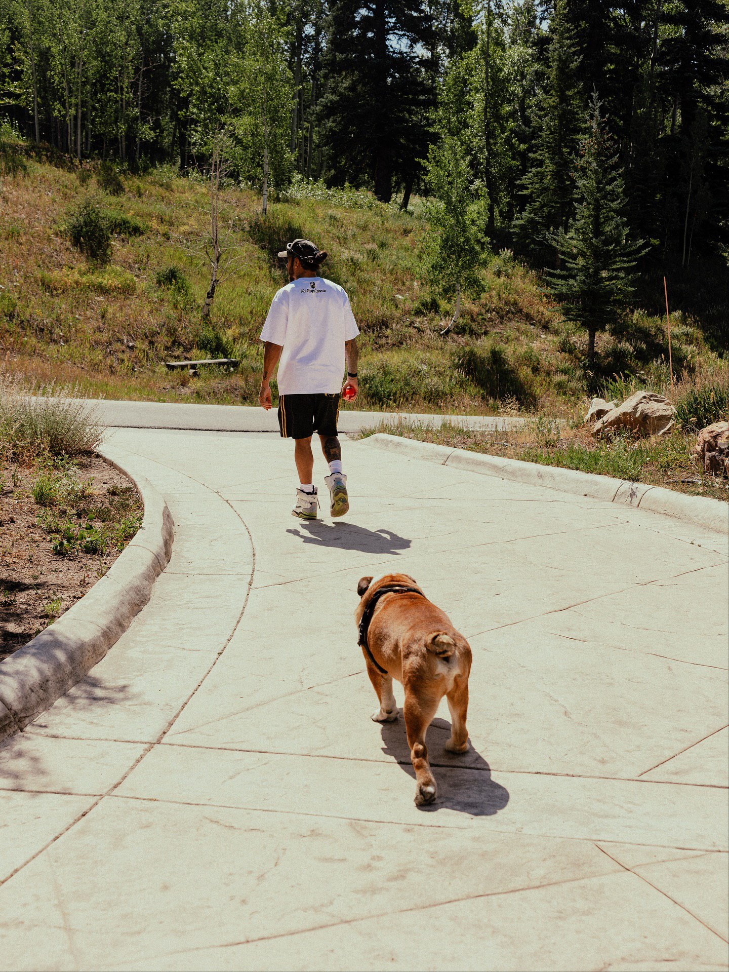 لوییس همیلتون