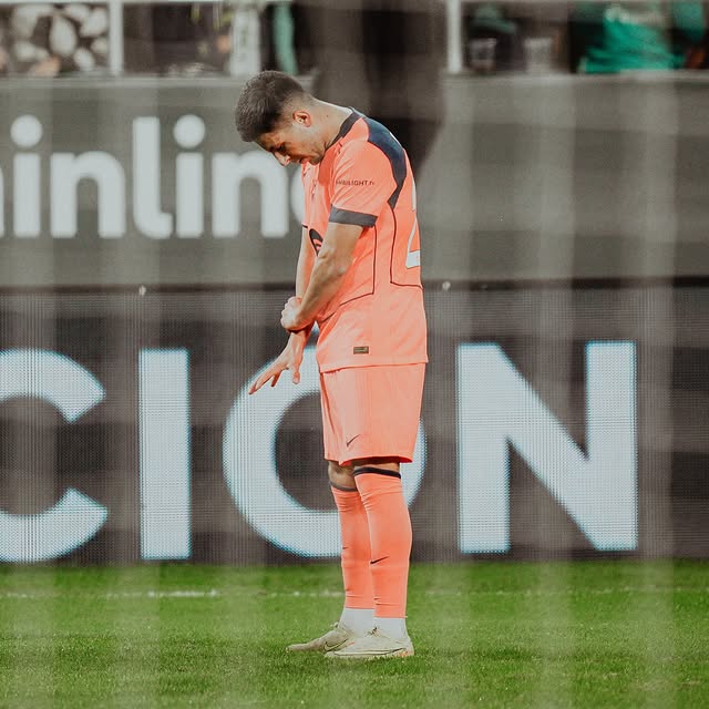 رونی بردغجی