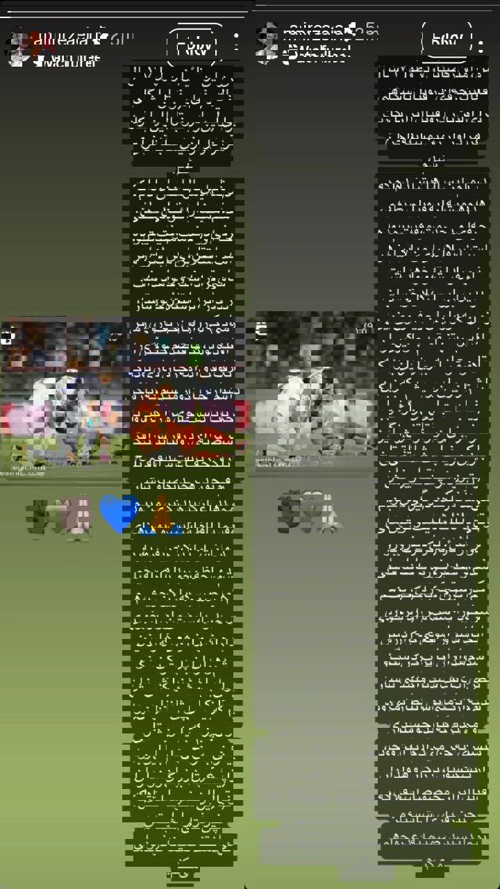 عکس از استوری معذرت‌خواهی رامین رضاییان 