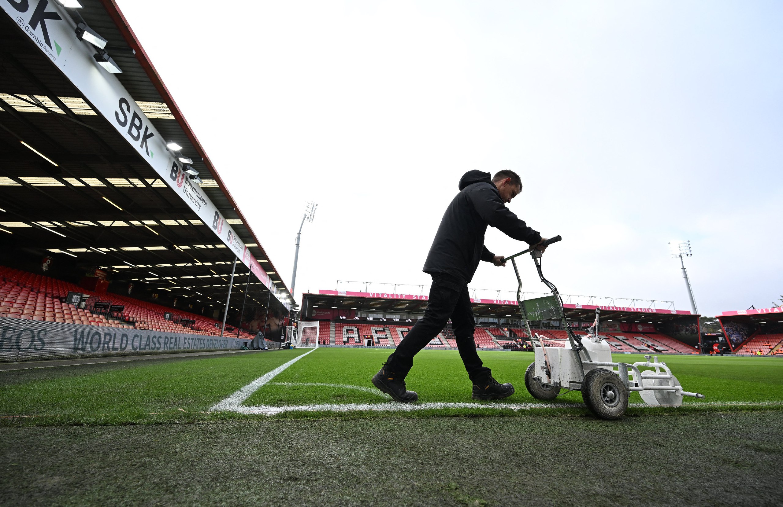 ورزشگاه ویتالیتی